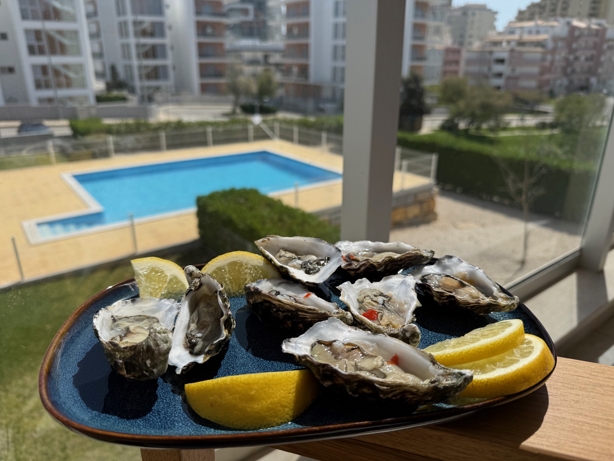 Oysters