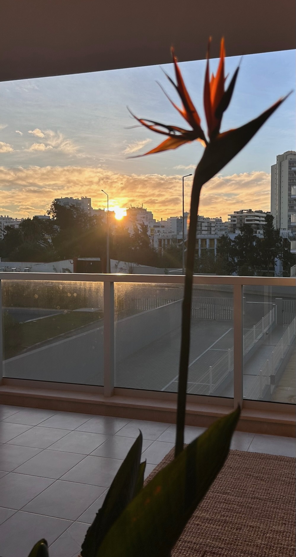 Zonsopgang terras
